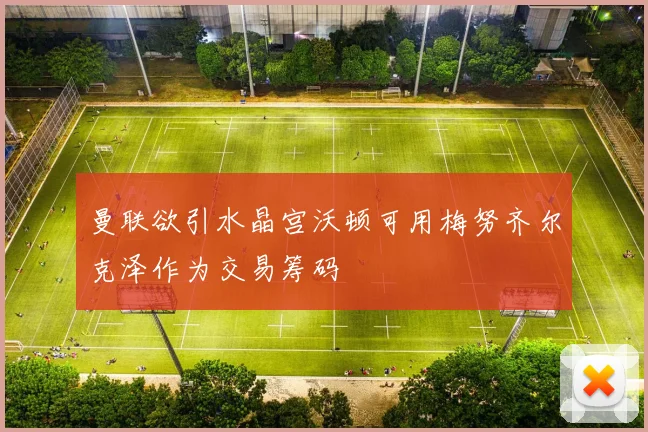 曼联欲引水晶宫沃顿可用梅努齐尔克泽作为交易筹码