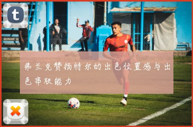 弗兰克赞扬特尔的出色位置感与出色串联能力