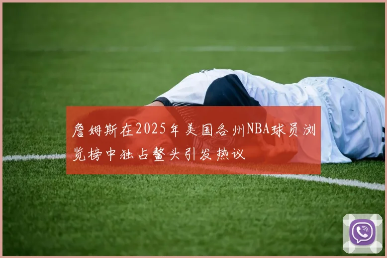 詹姆斯在2025年美国各州NBA球员浏览榜中独占鳌头引发热议
