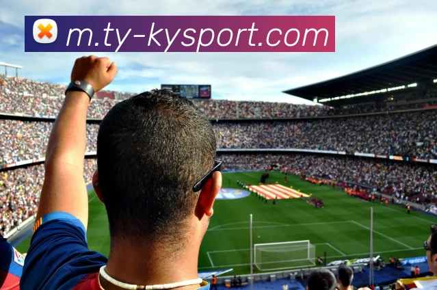 开云足球平台生态图